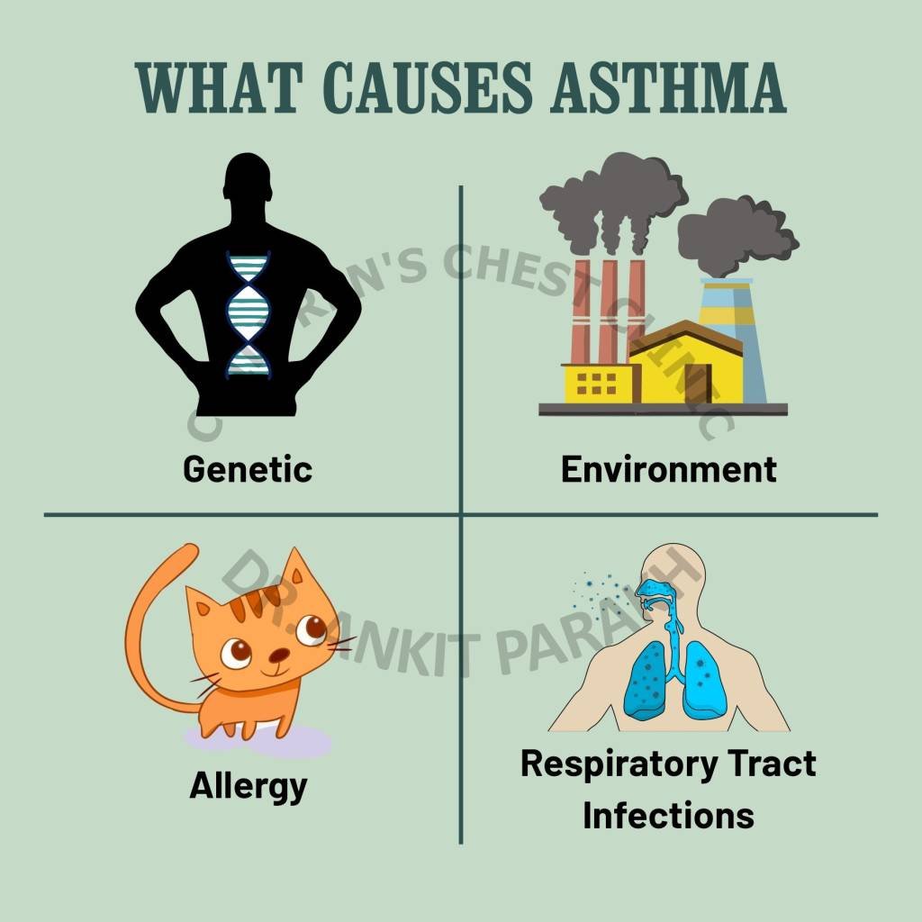 Do you know What causes Asthma? Dr. Ankit Parakh